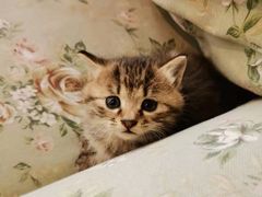 -么么咖啡(燕郊店)