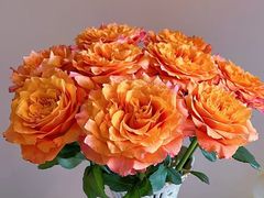 -Lets burger非常汉堡·环球风味(蓝色港湾店)