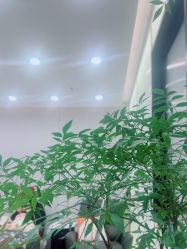-JH佳卉美甲美睫