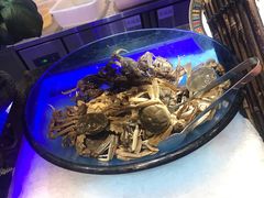 -加餐海鲜自助(集美银泰百货店)