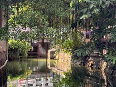 -小洲村