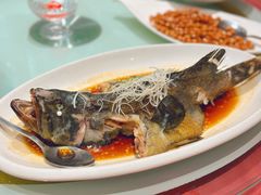 -胶东人家(奥体中心店)