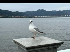 -海埂大坝