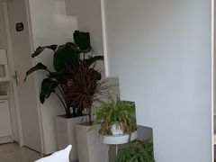 -花沐 FLOWER BATH(凤凰城店)