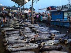 -尼甘布海鲜市场