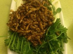 -老昌春饼(中央大街店)