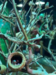 -Zoolung Zoolung动物主题公园(海信广场店)