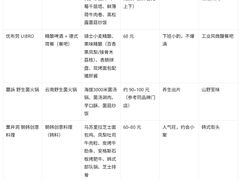 -北国商城