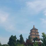 🍃春风得意马蹄疾，一日看尽长安花