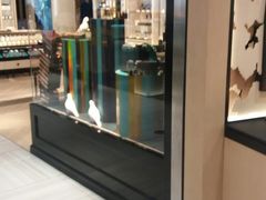 -远大购物中心(南岗店)