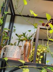 -冰岛刺青·手工耳饰品售卖·专业纹身