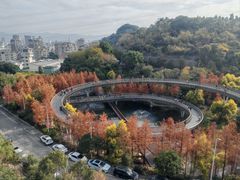 -福道