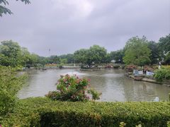-鹅湖玫瑰文化园