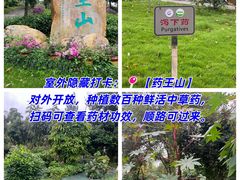 -广东中医药博物馆