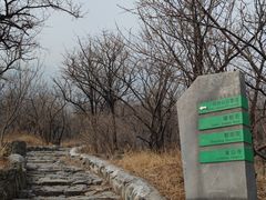 -阳台山自然风景区