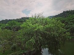 -中山詹园