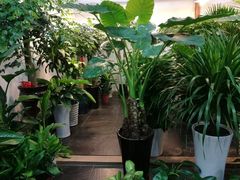 -双季花艺园艺市场(浦东店)