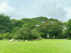 -新加坡植物园