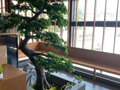 大堂-松子料理(亮马桥店)