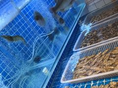 -犇鼎牛潮汕牛肉火锅(新辰里学清路店)