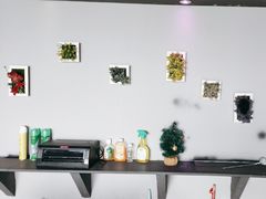 -MS实景娱乐密室逃脱(川大店)