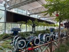 -南宫五洲植物乐园