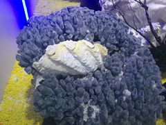 -游龙石文化科普馆