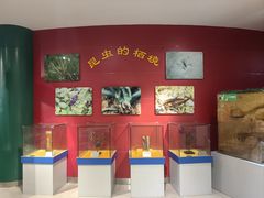 -上海昆虫博物馆