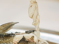 -东坊味道私房菜·地道顺德菜(大良店)