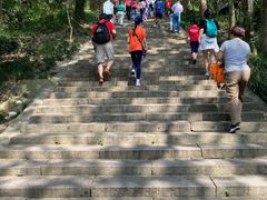 -上海佘山国家森林公园西佘山园