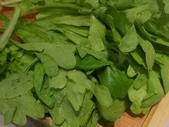 -蝎王府羊蝎子(西直门店)