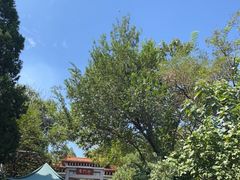 -青州市云门山风景区