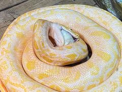 -石家庄市动物园