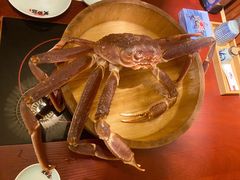 松叶蟹-蟹田居·活蟹料理(东城店)