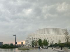 -金沙湖公园