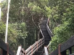 -水濂山森林公园