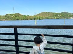 -宁波九龙湖开元度假村