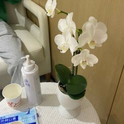 -广东韩妃整形外科医院