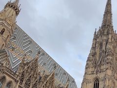 -斯蒂芬主教座堂(Stephansdom)