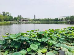 -西海子公园