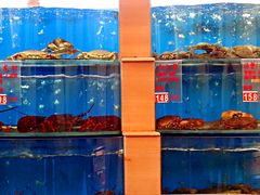 水产区-东方之珠海鲜酒楼(南开店)