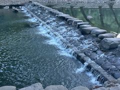 -鹿亭中村