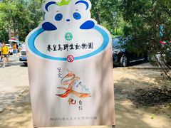 -秦皇岛野生动物园