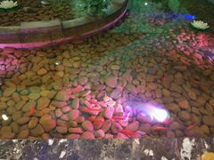 -巴厘岛风情自助餐厅(牡丹广场店)