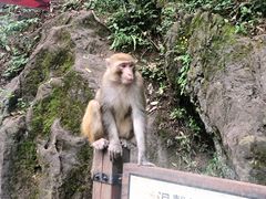 -黔灵山公园