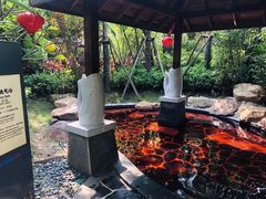 -美的鹭湖森林度假区