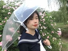 -贡湖湾湿地公园