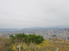 -风云岭森林公园