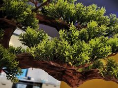 -马家斑.鲜鱼火锅(松湖万科店)