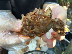 -老号尤兔头(幸福店)